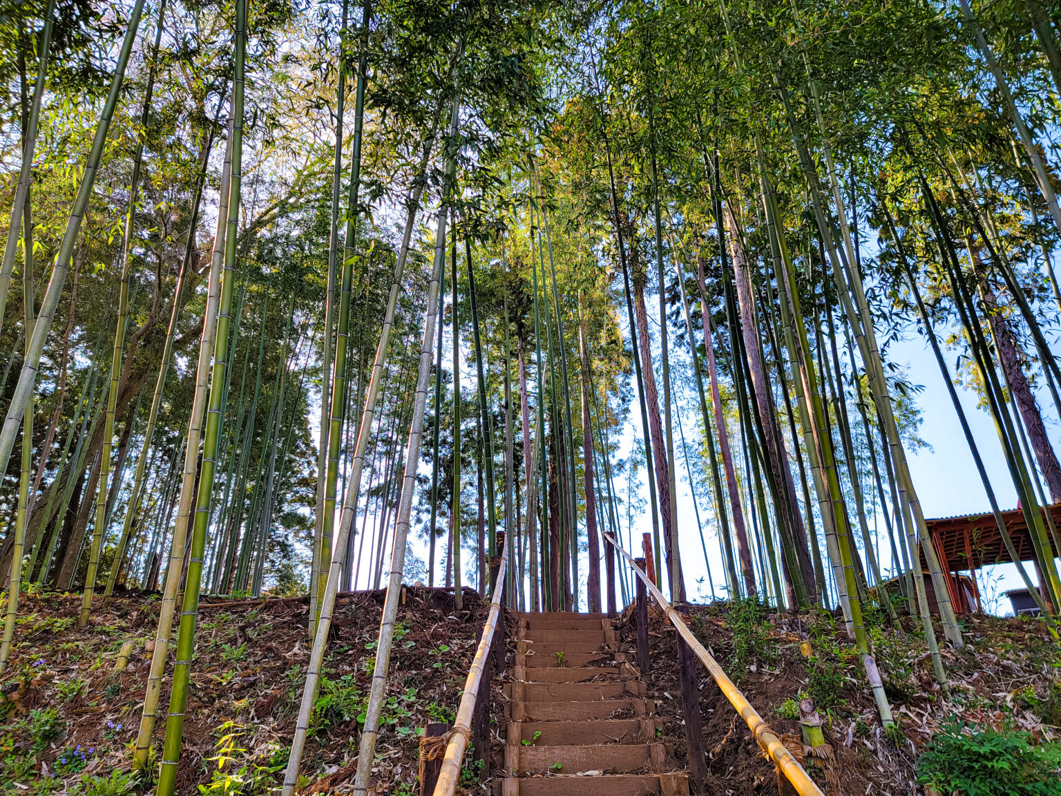 バンブーグローブ オートキャンプ場 竹の彩りを感じる自然豊かなオートキャンプ場です！